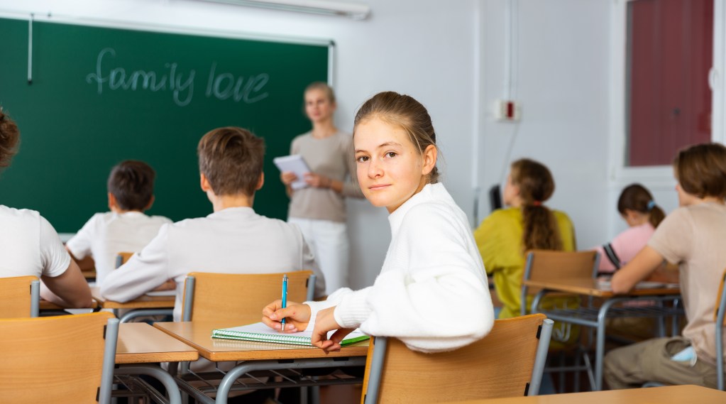 Language Understanding Classroom Understanding the dynamics of a language classroom (Achilleas Kostoulas)