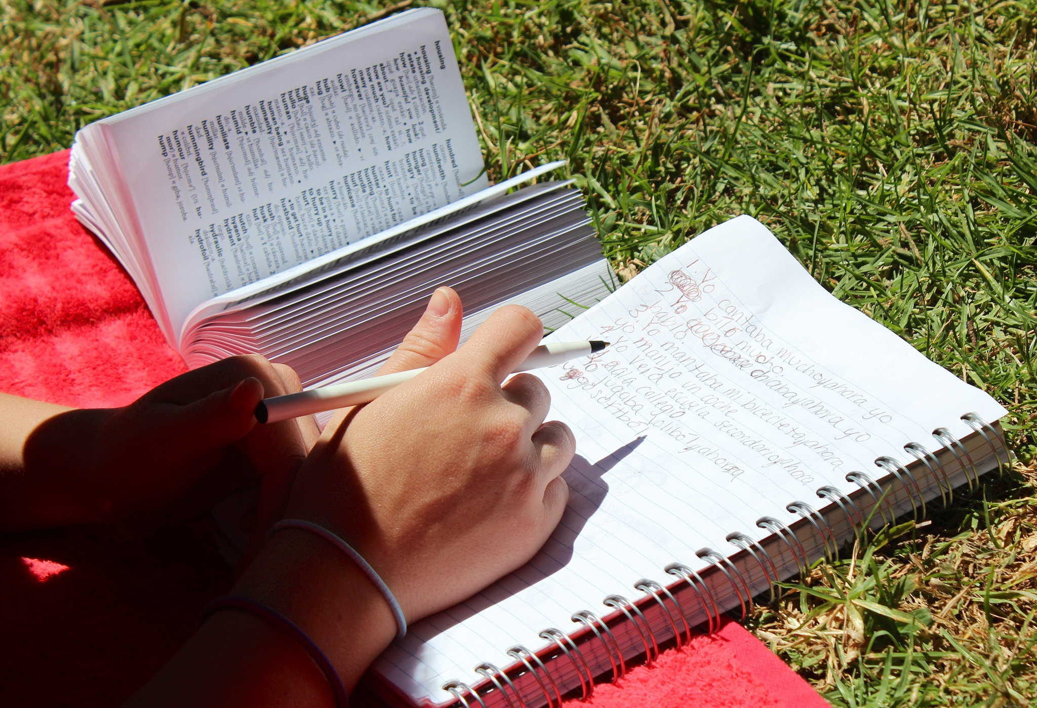 Student consulting dictionary and writing on notebook