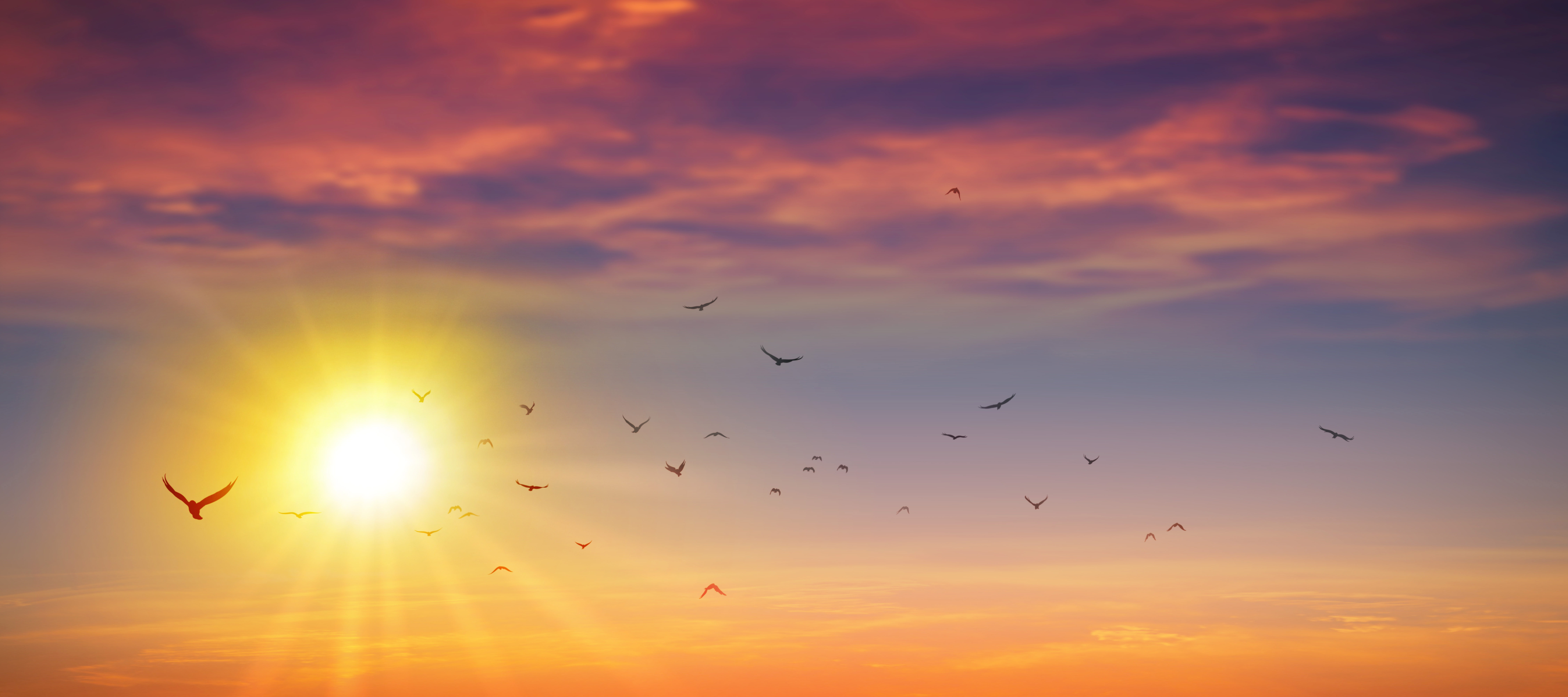 Sunset sky with birds in flight, suggesting reflection, change and patterns emerging over time.